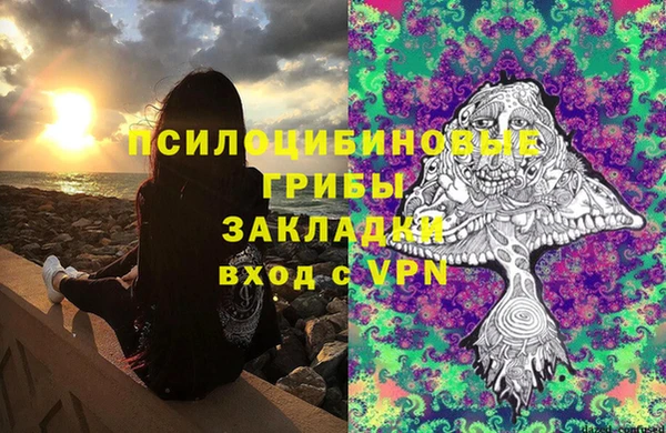 герыч Гусь-Хрустальный