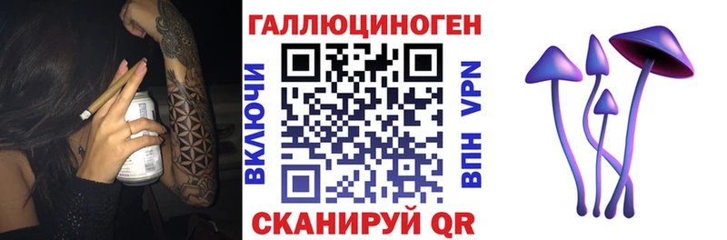Псилоцибиновые грибы Psilocybine cubensis  как найти наркотики  Данилов 